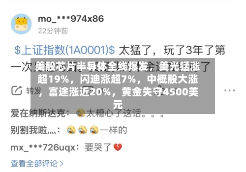 美股芯片半导体全线爆发，美光猛涨超19%	，闪迪涨超7%，中概股大涨，富途涨近20%	，黄金失守4500美元-第3张图片