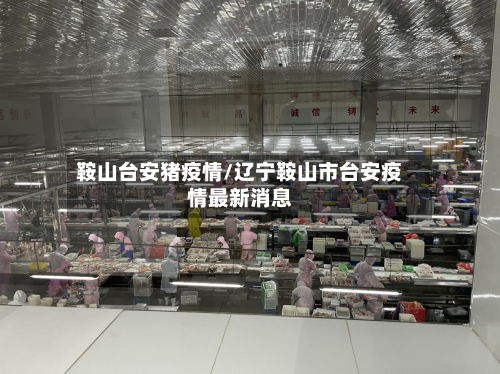 鞍山台安猪疫情/辽宁鞍山市台安疫情最新消息