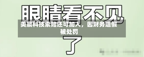 美晨科技索赔还可加入，因财务造假被处罚-第3张图片