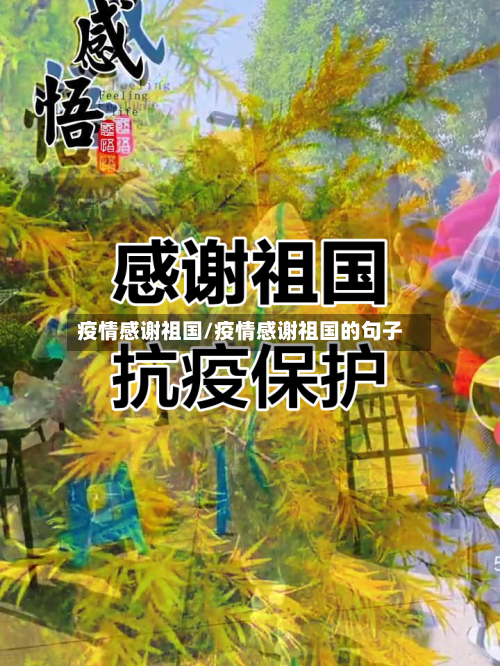 疫情感谢祖国/疫情感谢祖国的句子-第3张图片