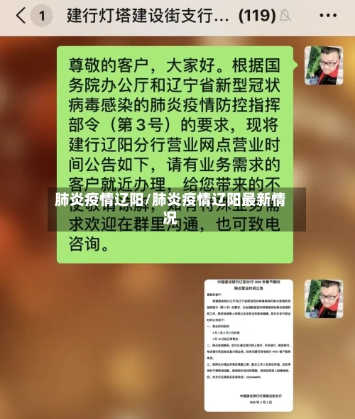 肺炎疫情辽阳/肺炎疫情辽阳最新情况-第2张图片