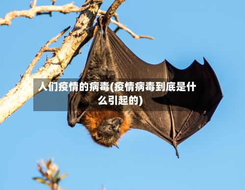 人们疫情的病毒(疫情病毒到底是什么引起的)