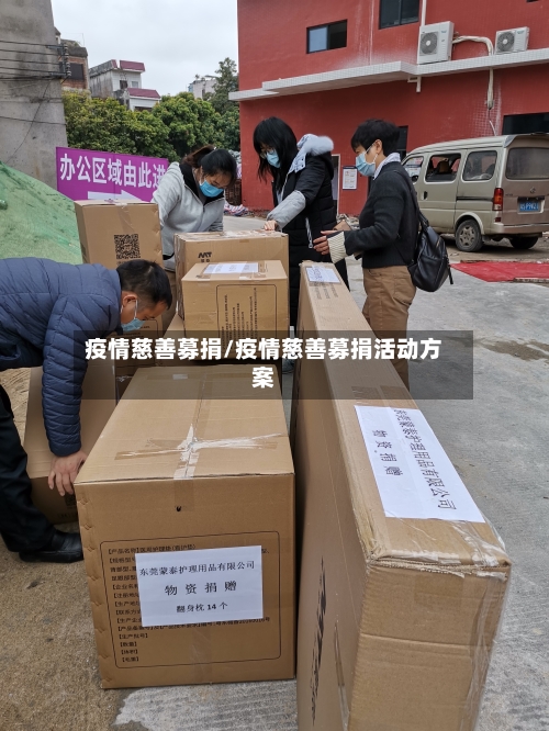 疫情慈善募捐/疫情慈善募捐活动方案-第3张图片