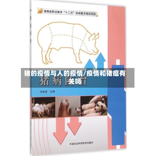 猪的疫情与人的疫情/疫情和猪瘟有关吗-第3张图片