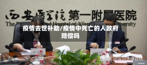疫情去世补助/疫情中死亡的人政府赔偿吗
