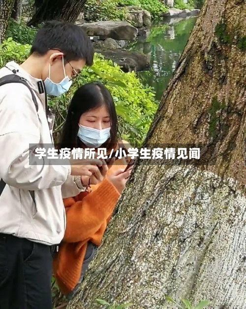 学生疫情所见/小学生疫情见闻-第3张图片