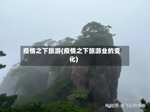 疫情之下旅游(疫情之下旅游业的变化)-第2张图片