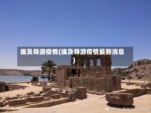 埃及导游疫情(埃及导游疫情最新消息)