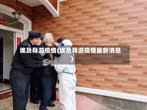 埃及导游疫情(埃及导游疫情最新消息)-第2张图片