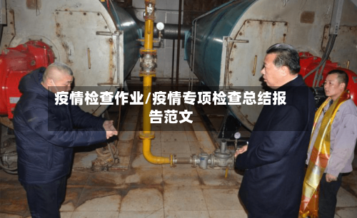 疫情检查作业/疫情专项检查总结报告范文-第2张图片