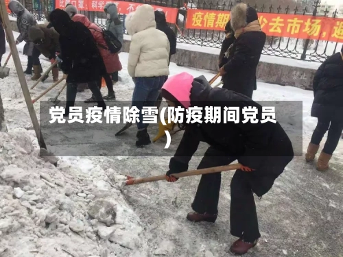 党员疫情除雪(防疫期间党员)-第2张图片