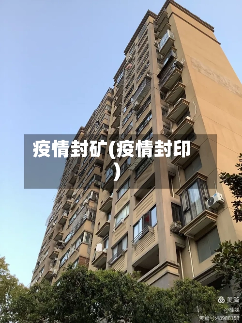 疫情封矿(疫情封印)