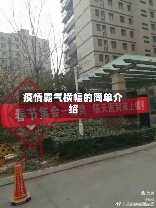 疫情霸气横幅的简单介绍-第2张图片
