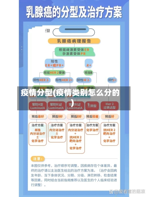 疫情分型(疫情类别怎么分的)-第2张图片