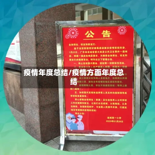 疫情年度总结/疫情方面年度总结