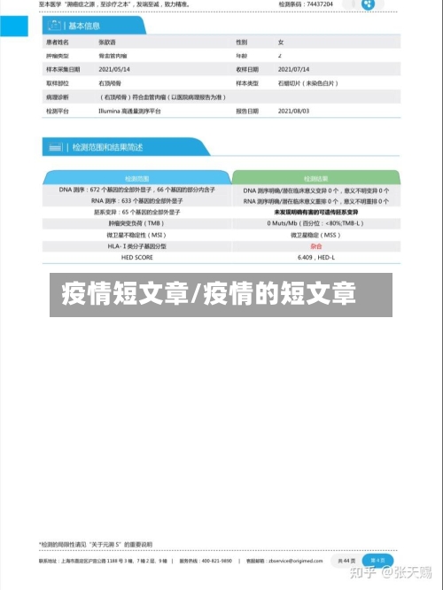 疫情短文章/疫情的短文章-第2张图片