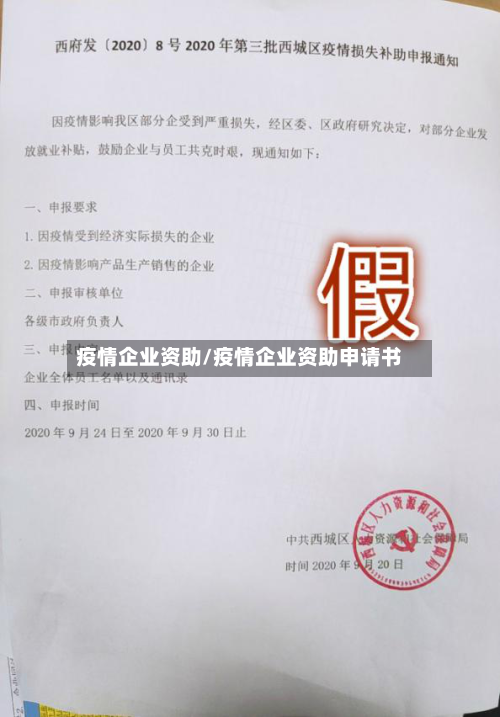 疫情企业资助/疫情企业资助申请书-第2张图片