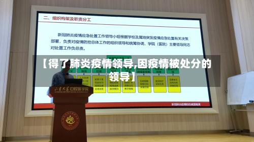 【得了肺炎疫情领导,因疫情被处分的领导】-第2张图片