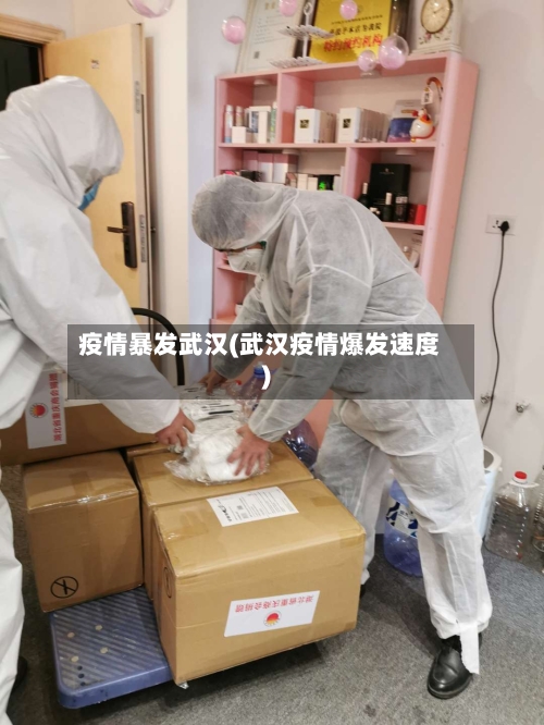 疫情暴发武汉(武汉疫情爆发速度)-第2张图片