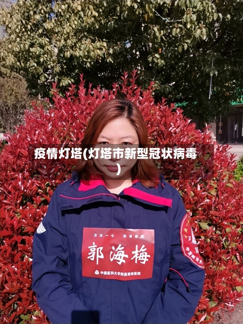 疫情灯塔(灯塔市新型冠状病毒)-第3张图片