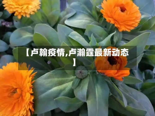 【卢翰疫情,卢瀚霆最新动态】