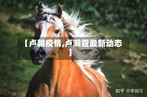 【卢翰疫情,卢瀚霆最新动态】-第2张图片