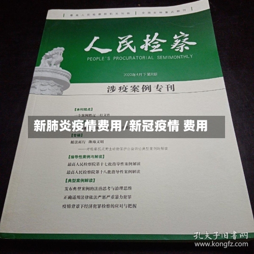 新肺炎疫情费用/新冠疫情 费用-第2张图片