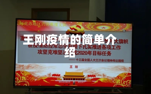 王刚疫情的简单介绍