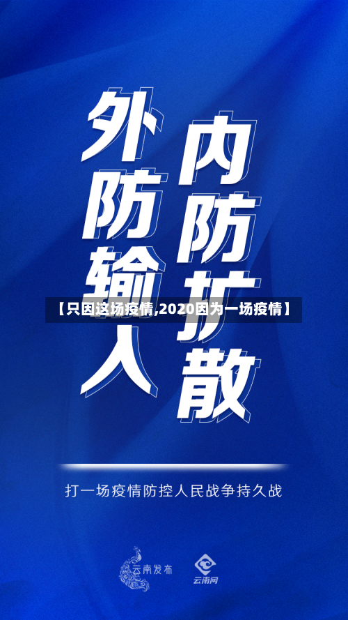 【只因这场疫情,2020因为一场疫情】-第3张图片