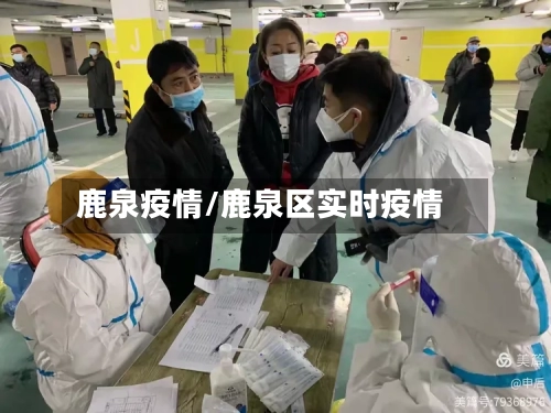 鹿泉疫情/鹿泉区实时疫情-第3张图片