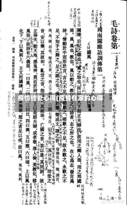 疫情独处心得(疫情在家的心得)