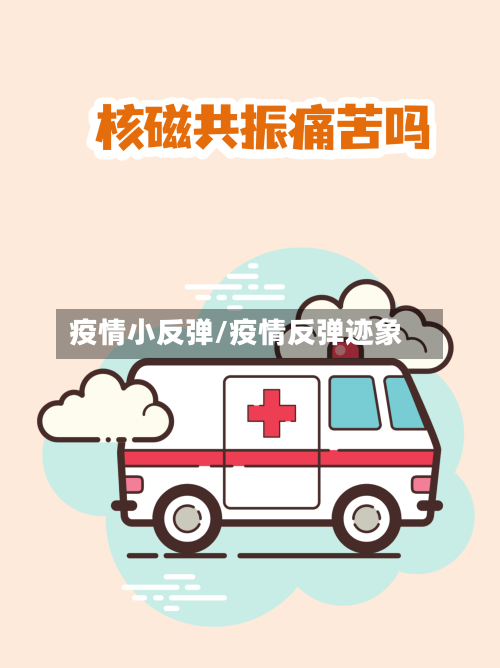 疫情小反弹/疫情反弹迹象-第3张图片