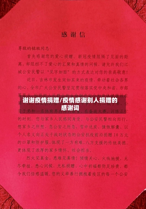 谢谢疫情捐赠/疫情感谢别人捐赠的感谢词