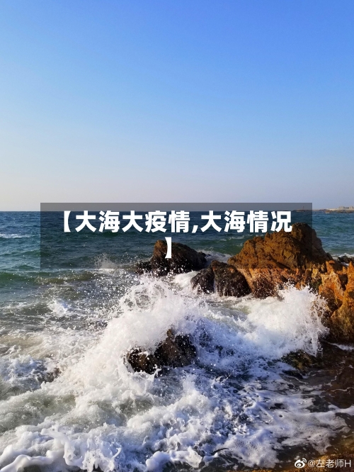 【大海大疫情,大海情况】