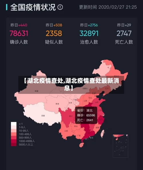 【湖北疫情查处,湖北疫情查处最新消息】-第3张图片