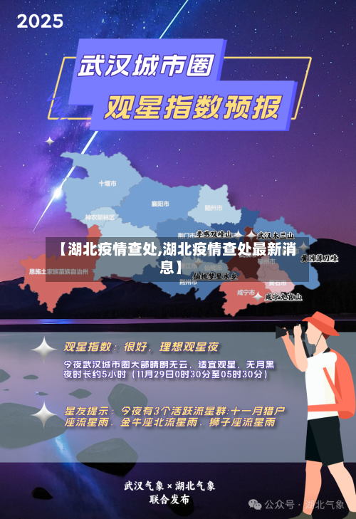 【湖北疫情查处,湖北疫情查处最新消息】-第2张图片