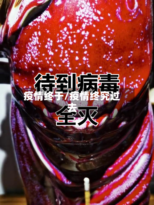 疫情终于/疫情终究过去