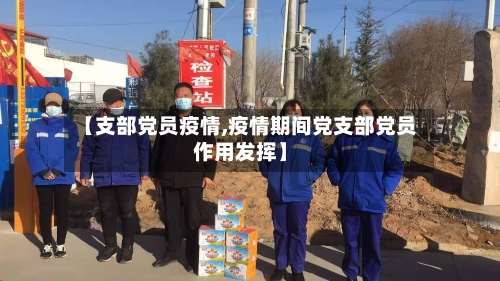 【支部党员疫情,疫情期间党支部党员作用发挥】