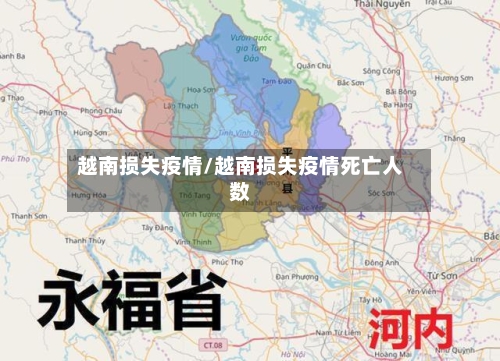 越南损失疫情/越南损失疫情死亡人数-第2张图片
