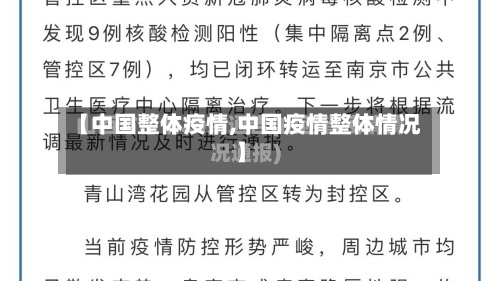 【中国整体疫情,中国疫情整体情况】-第3张图片