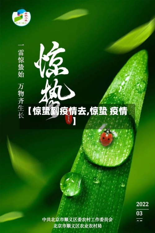 【惊蛰到疫情去,惊蛰 疫情】