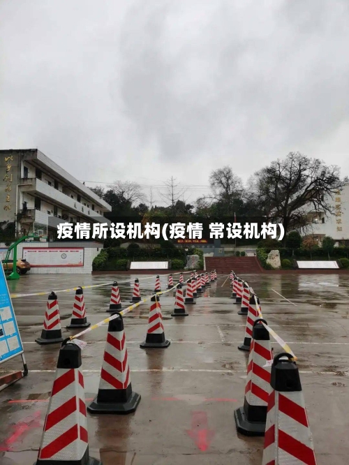 疫情所设机构(疫情 常设机构)-第2张图片