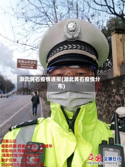湖北黄石疫情通报(湖北黄石疫情分布)