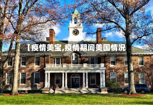 【疫情美宝,疫情期间美国情况】-第2张图片
