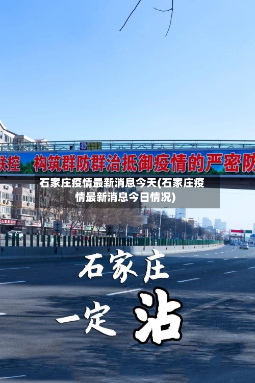 石家庄疫情最新消息今天(石家庄疫情最新消息今日情况)-第3张图片