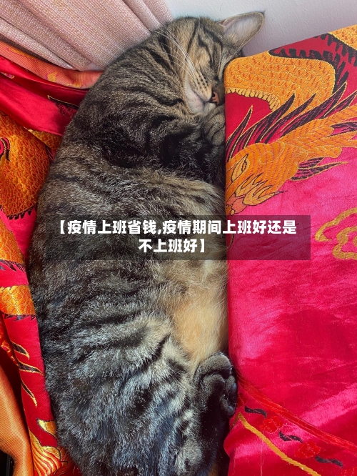 【疫情上班省钱,疫情期间上班好还是不上班好】