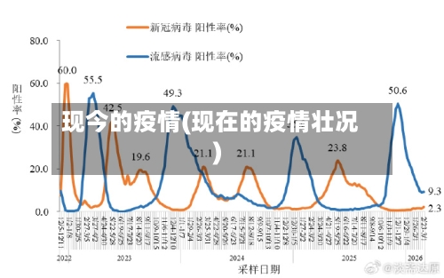 现今的疫情(现在的疫情壮况)