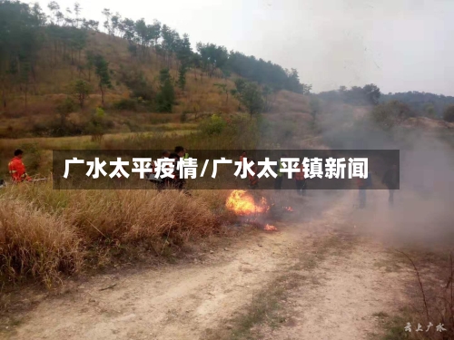 广水太平疫情/广水太平镇新闻