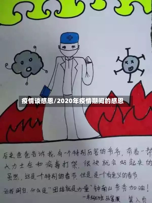 疫情谈感恩/2020年疫情期间的感恩-第2张图片
