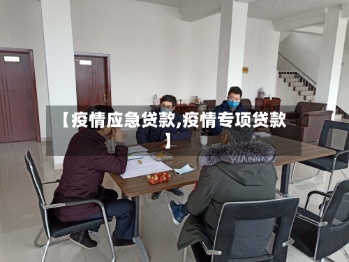 【疫情应急贷款,疫情专项贷款】
